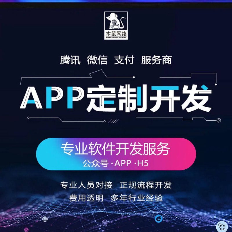 APP开发定制:助力企业创新升级的新引擎